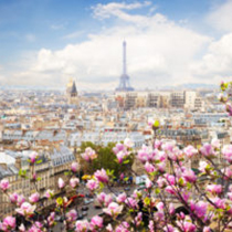 PARIS PARIS
