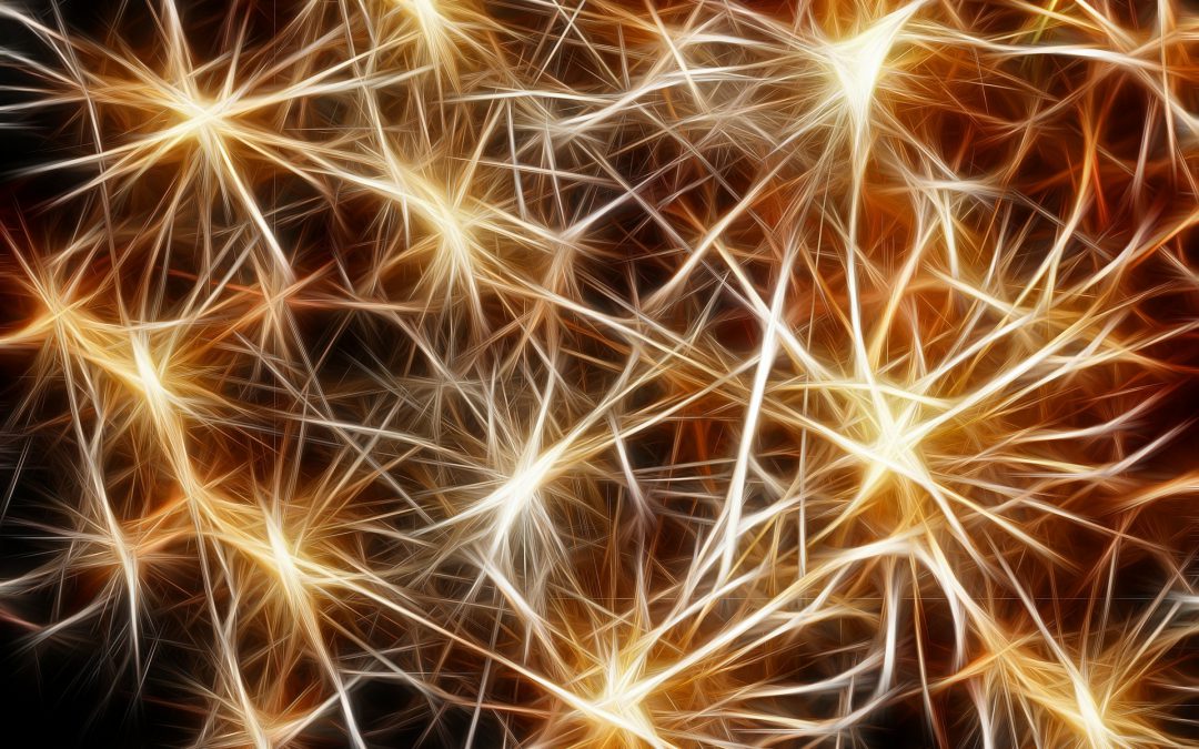 WTF is Customer Intelligence?